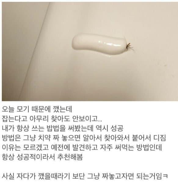 여름철 모기 꿀팁