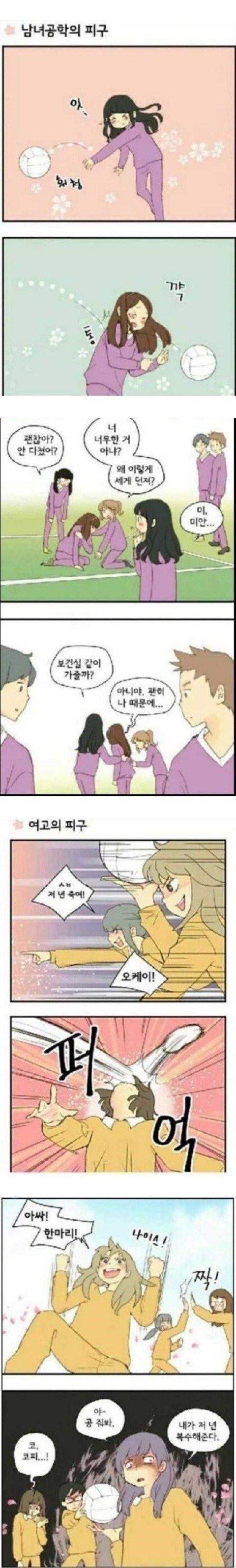 라면 계란 취향