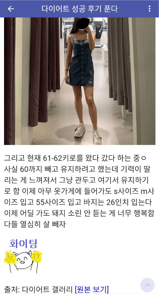 디씨에 다이어트 인증한 여자