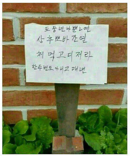 정겨운 어르신들 맞춤법 ...jpg