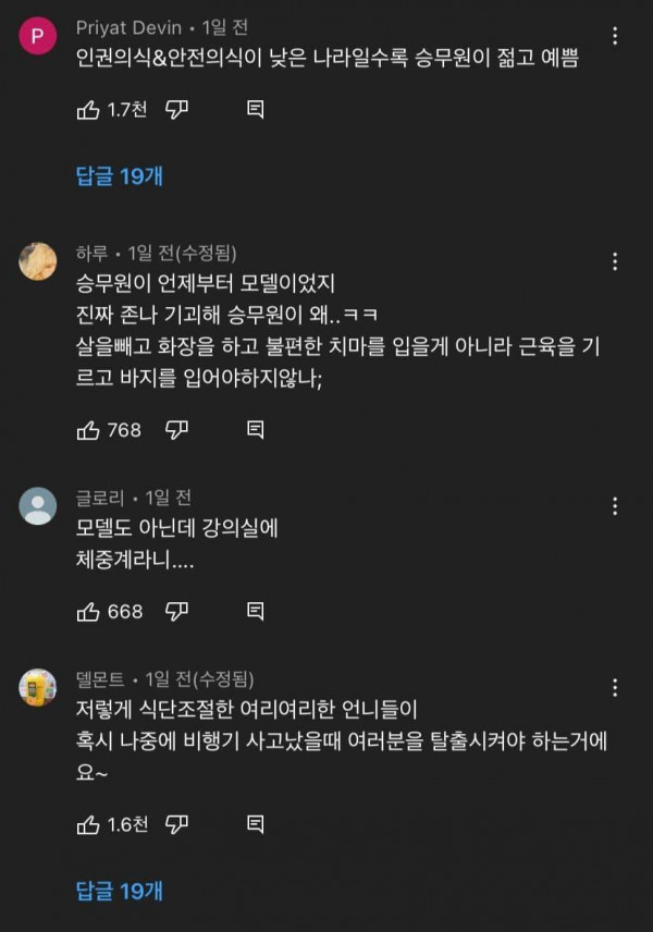 유튜브 승무원 외모 논란