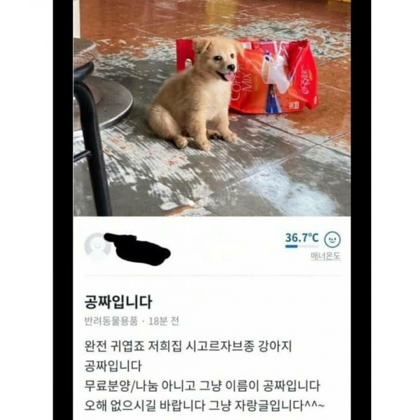 공짜까지 나온 당근마켓