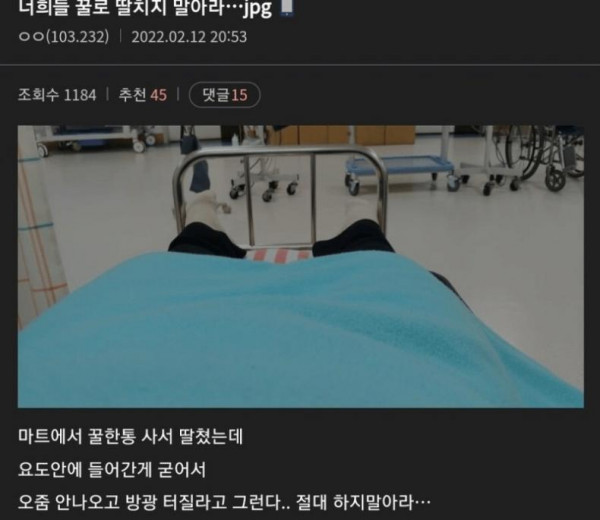 디시 꿀딸 후기