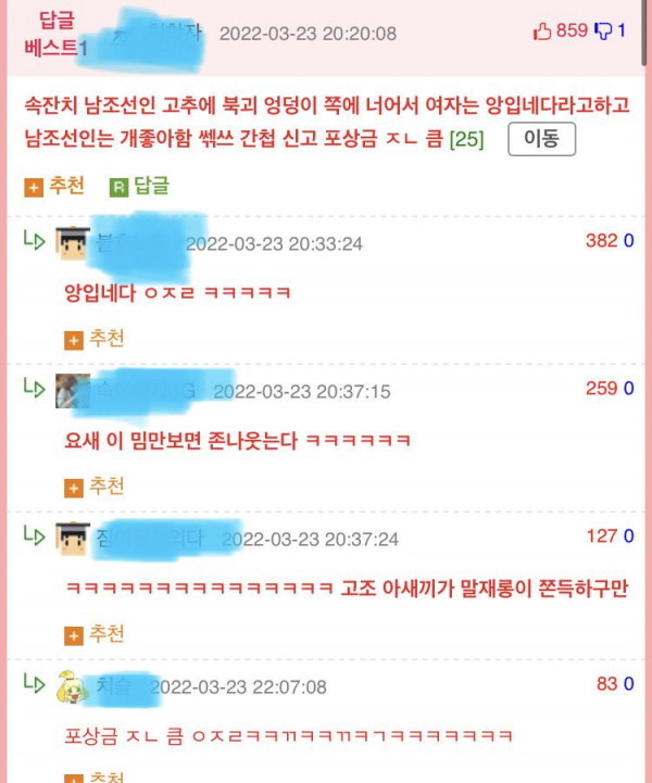 남한청년과 북한처녀가 결혼하면 어떤일이 생길까요?