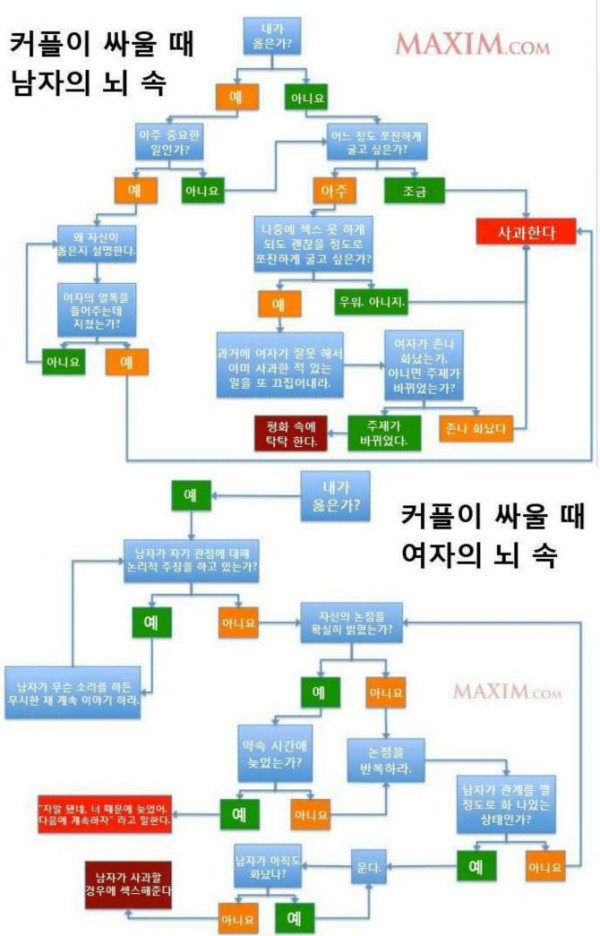 외국 커플과 한국 커플의 공통점