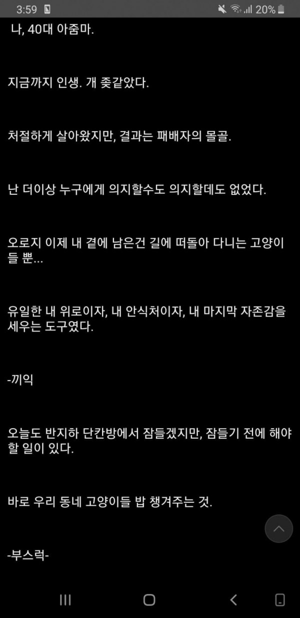 냥갤문학