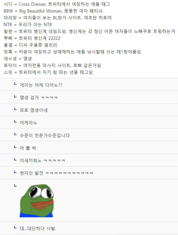 여초 커뮤니티에서 난리난 앰생 판독기