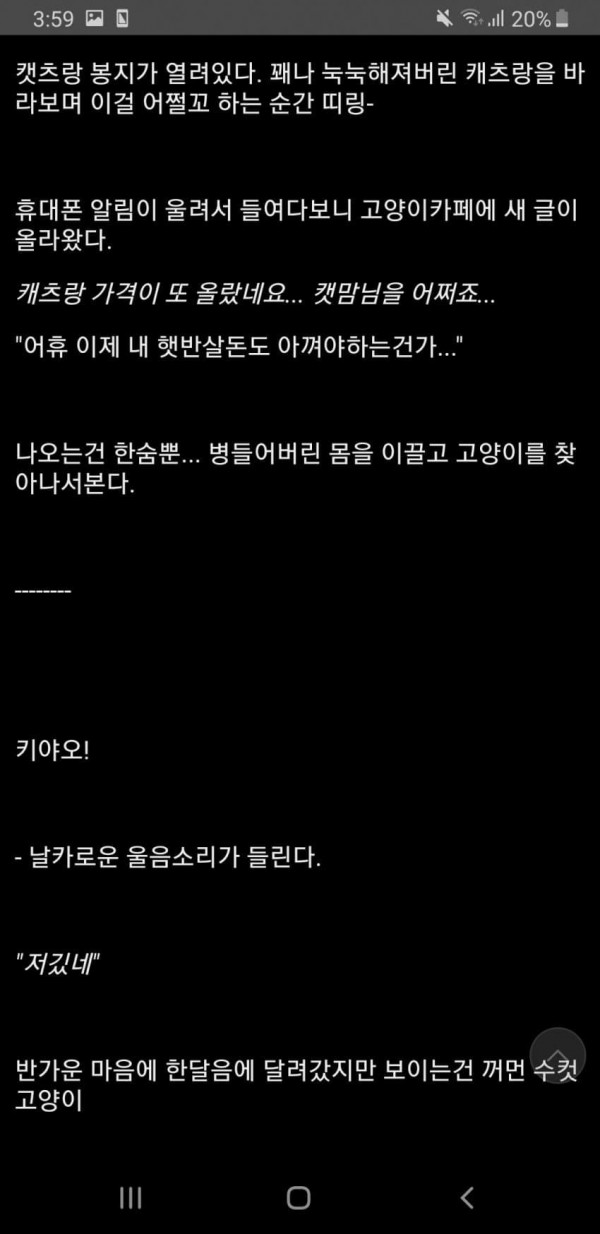 냥갤문학