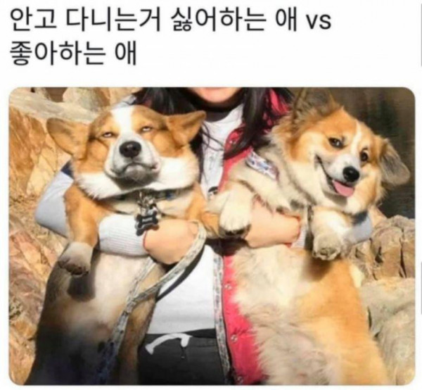 표정차이 극명하네 ㅋㅋㅋㅋ