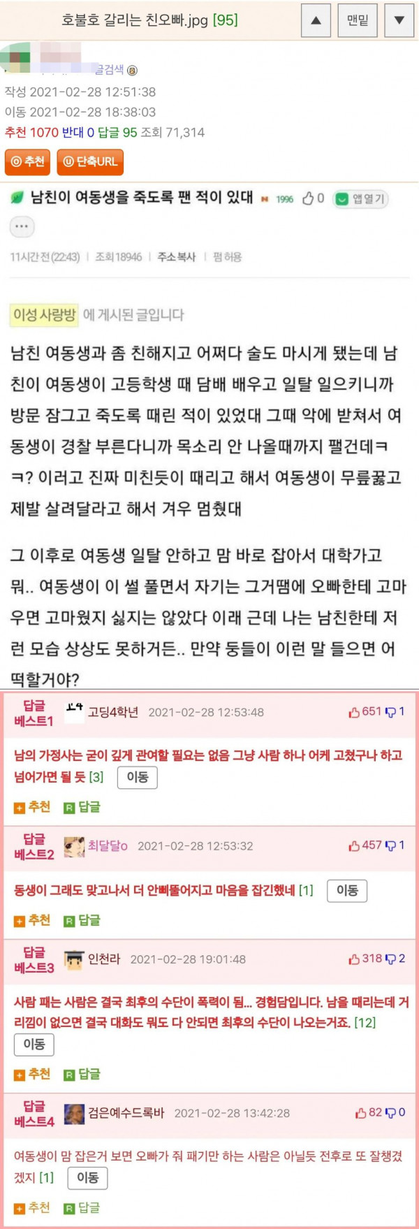 호불호 갈리는 친오빠 라는 제목으로 올라온 썰