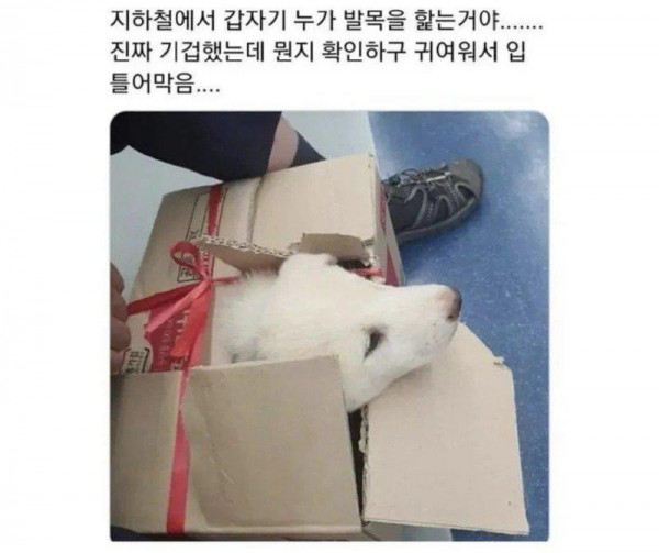 지하철에서 누가 발목 핥음