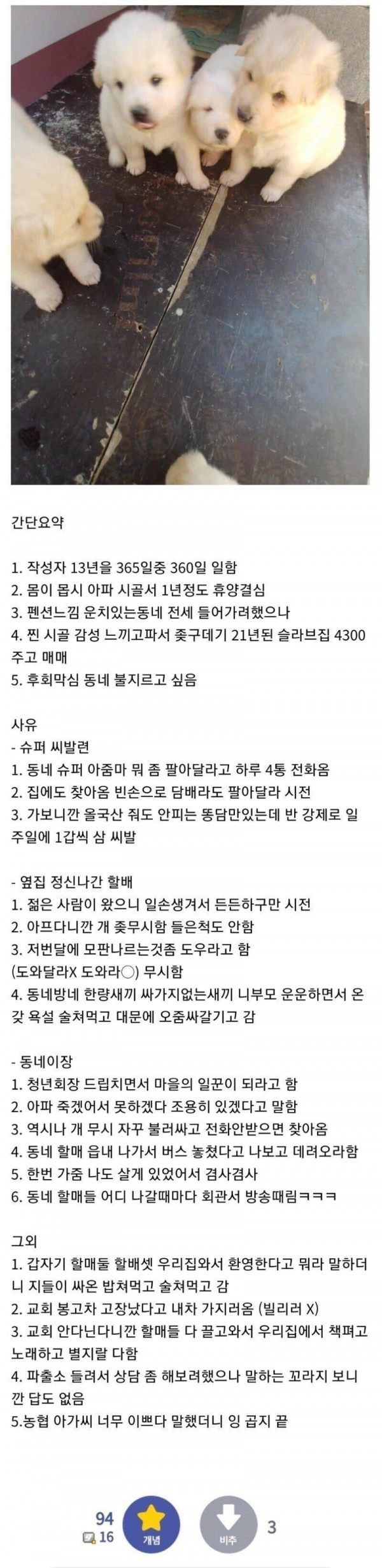 시골 귀향 후기