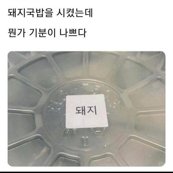 돼지국밥을 시켰는데 기분나쁘네