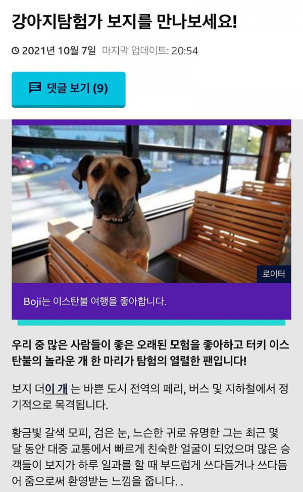 BBC에서 공식 인증한 개 Boji