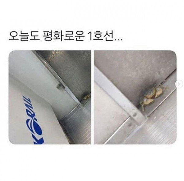 전장연이 지하철 1호선에서 시위 안하는 이유.jpg