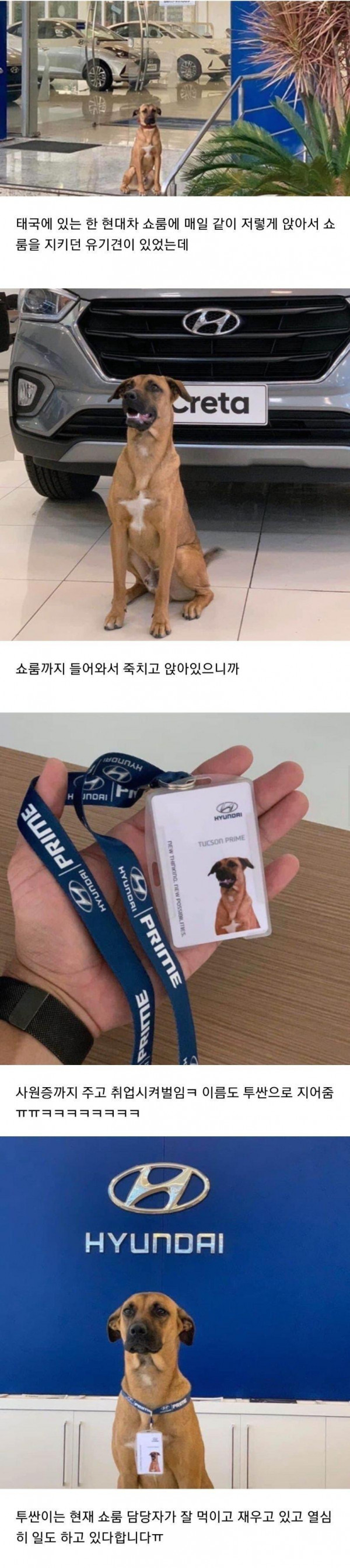 아무런 스펙도 없이 현대차 취직함