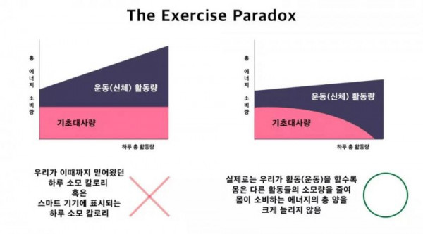 운동을 해도 살이 안빠지는 이유.jpg