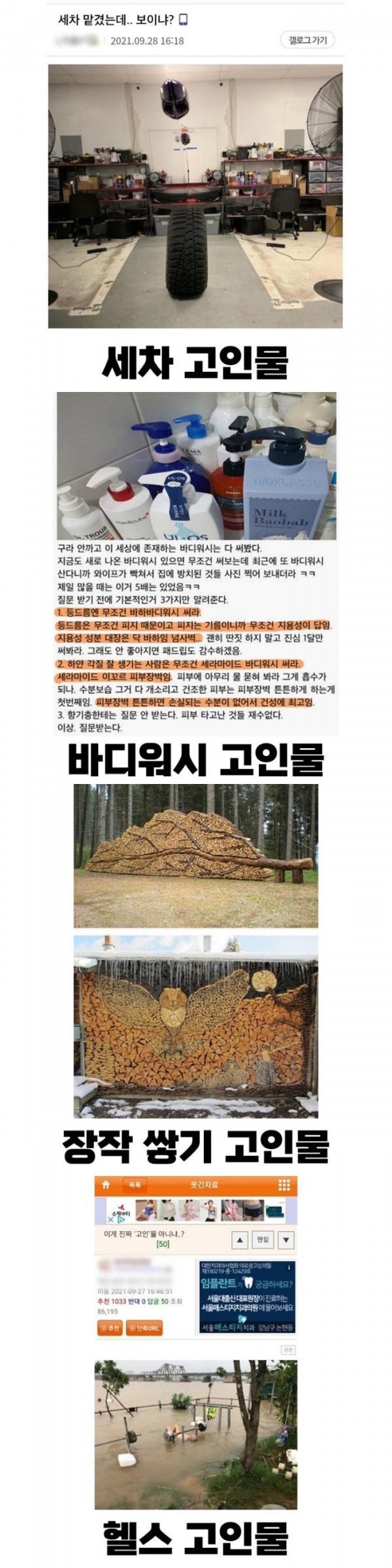 고인물을 넘어선 썩은물 모음